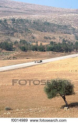 travel, travel exterior, open air, road, roads, landscape, landscapes View Large Photo Image Stock Photo - travel, travel exterior, open air, road, roads, landscape, landscapes. Fotosearch