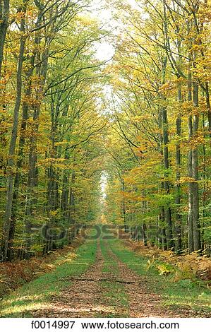 travel, travel exterior, open air, countryside, country, rural, landscape View Large Photo Image Stock Photo - travel, travel exterior, open air, countryside, country, rural, landscape. Fotosearch