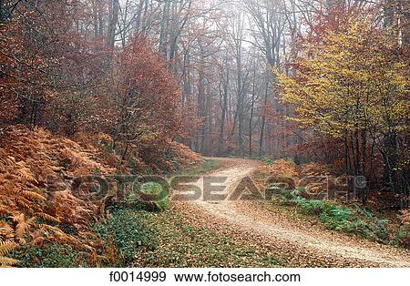 Stock Photo - travel, travel exterior, open air, countryside, country, rural, landscape. Fotosearch
