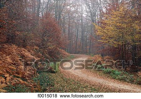 travel, travel exterior, open air, countryside, country, rural, landscape View Large Photo Image Stock Photo - travel, travel exterior, open air, countryside, country, rural, landscape. Fotosearch