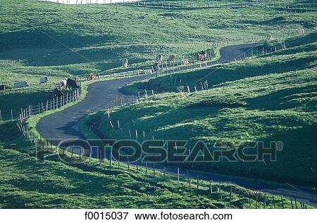 travel, travel exterior, open air, road, roads, countryside, country View Large Photo Image Stock Photo - travel, travel exterior, open air, road, roads, countryside, country. Fotosearch