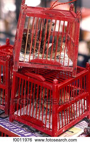 Stock Photograph - travel, travel exterior, open air, South East Asia, Asia, Thailand. Fotosearch