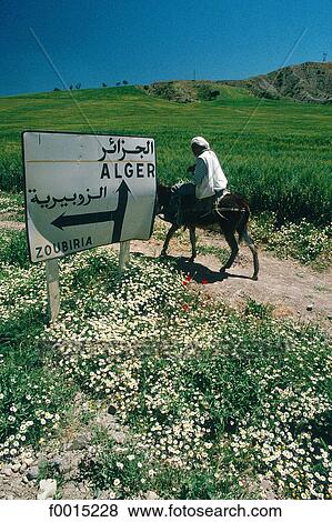 travel, travel Northern Africa, maghreb, Middle East, Algeria, people, person View Large Photo Image Stock Photo - travel, travel Northern Africa, maghreb, Middle East, Algeria, people, person. Fotosearch