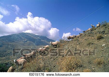 travel, travel Southern Europe, Europe, European landscape, landscapes, scene, scenery View Large Photo Image Stock Photograph - travel, travel Southern Europe, Europe, European landscape, landscapes, scene, scenery. Fotosearch