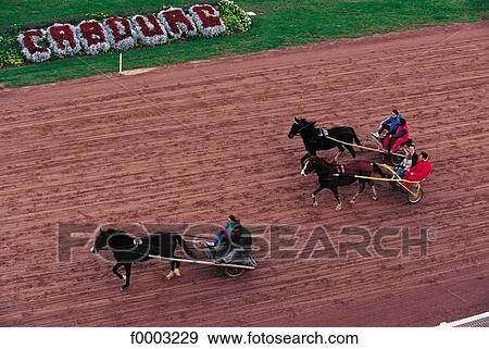 trot, horse, rider, horse show, racecourse, animal, animals View Large Photo Image Stock Photo - trot, horse, rider, horse show, racecourse, animal, animals. Fotosearch