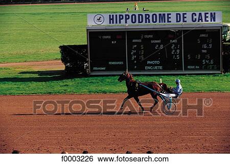 trot, horse, rider, racecourse, animal, animals, sport View Large Photo Image Stock Photograph - trot, horse, rider, racecourse, animal, animals, sport. Fotosearch