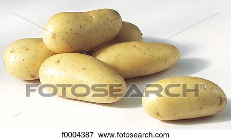 tuber, aliment, vegetable, potato, inside, indoors View Large Photo Image Stock Photo - tuber, aliment, vegetable, potato, inside, indoors. Fotosearch