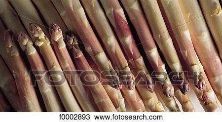 vegetable, asparagus, aliment, stemmed vegetable, inside, indoors View Large Photo Image Stock Image - vegetable, asparagus, aliment, stemmed vegetable, inside, indoors. Fotosearch