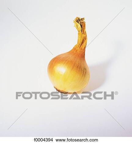 vegetable, bulb vegetable, aliment, condiment, onion, inside View Large Photo Image Picture - vegetable, bulb vegetable, aliment, condiment, onion, inside. Fotosearch