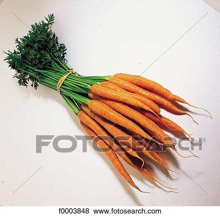 vegetable, carrot, aliment, root, bunch, inside View Large Photo Image Stock Photo - vegetable, carrot, aliment, root, bunch, inside. Fotosearch