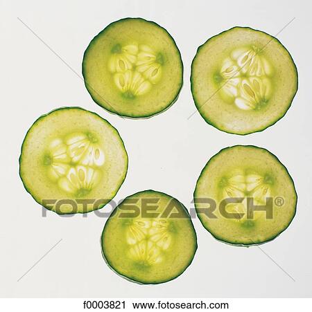 vegetable, fruit vegetable, gourd, aliment, cucumber, slice, slice View Large Photo Image Stock Image - vegetable, fruit vegetable, gourd, aliment, cucumber, slice, slice. Fotosearch