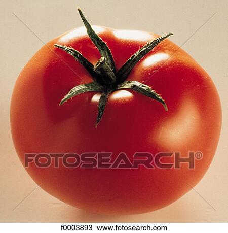 vegetable, fruit vegetable, tomato, tomatoes, red, aliment View Large Photo Image Stock Image - vegetable, fruit vegetable, tomato, tomatoes, red, aliment. Fotosearch