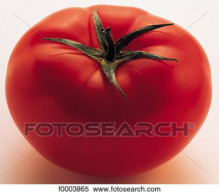 vegetable, fruit vegetable, tomato, tomatoes, aliment, red View Large Photo Image Stock Photography - vegetable, fruit vegetable, tomato, tomatoes, aliment, red. Fotosearch