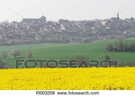 village, colza, field, Normandy, Europe, France, French View Large Photo Image Stock Photo - village, colza, field, Normandy, Europe, France, French. Fotosearch