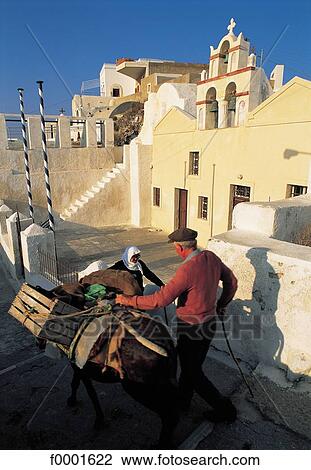 village, donkey, Greece, Europe, lane, alley, people View Large Photo Image Stock Image - village, donkey, Greece, Europe, lane, alley, people. Fotosearch