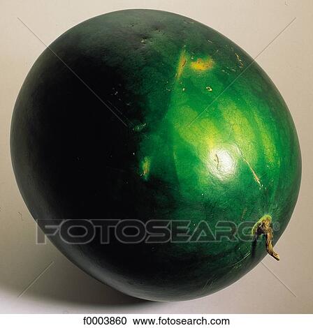 water melon, aliment, green, fruit, pip fruit, inside View Large Photo Image Stock Image - water melon, aliment, green, fruit, pip fruit, inside. Fotosearch