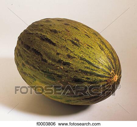 water melon, aliment, green, fruit, pip fruit, pip View Large Photo Image Stock Photograph - water melon, aliment, green, fruit, pip fruit, pip. Fotosearch