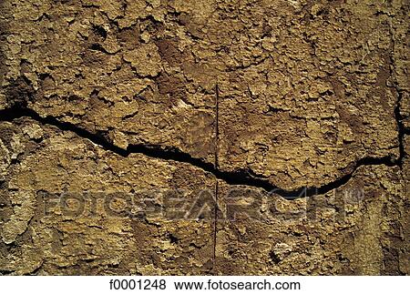 wood, bark, exterior, open air, background, backgrounds View Large Photo Image Stock Photo - wood, bark, exterior, open air, background, backgrounds. Fotosearch