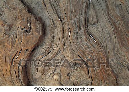 wood, brown, tree trunk, material, bark, exterior View Large Photo Image Stock Photography - wood, brown, tree trunk, material, bark, exterior. Fotosearch