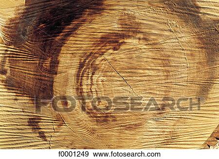 wood, log, exterior, open air, time, background View Large Photo Image Stock Photo - wood, log, exterior, open air, time, background. Fotosearch