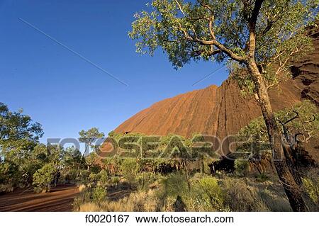 Australia, Northern Territory, Ayers rock View Large Photo Image Stock Photo - Australia, Northern Territory, Ayers rock. Fotosearch