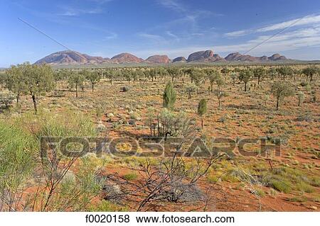 Stock Photo - Australia, Northern Territory, Mount Olga, the Bush. Fotosearch