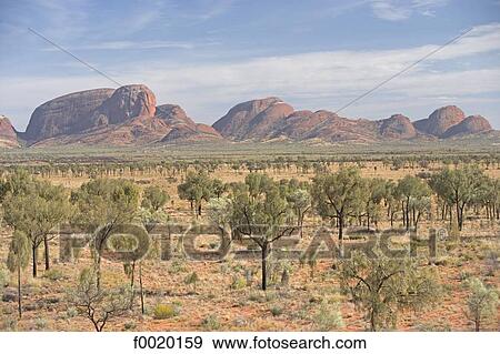 Australia, Northern Territory, Mount Olga, the Bush View Large Photo Image Stock Photo - Australia, Northern Territory, Mount Olga, the Bush. Fotosearch