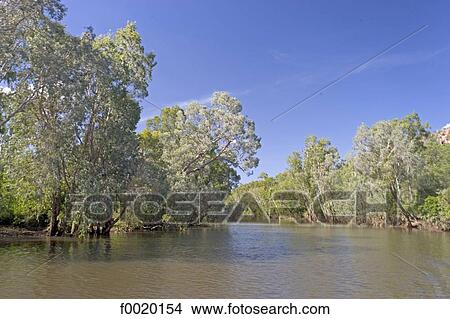 Picture - Australia, Northern Territory, Nitmiluk park, Katherine Gorge. Fotosearch