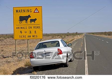 Australia, Northern Territory, road from Alice Springs to Cooper Pedy View Large Photo Image Stock Photograph - Australia, Northern Territory, road from Alice Springs to Cooper Pedy. Fotosearch