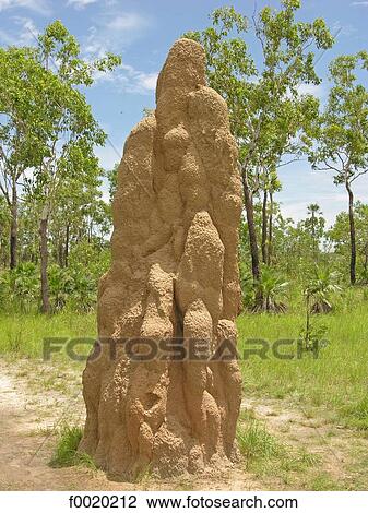Australie, Northern Territory, Litchfield National Park, mound View Large Photo Image Stock Image - Australie, Northern Territory, Litchfield National Park, mound. Fotosearch