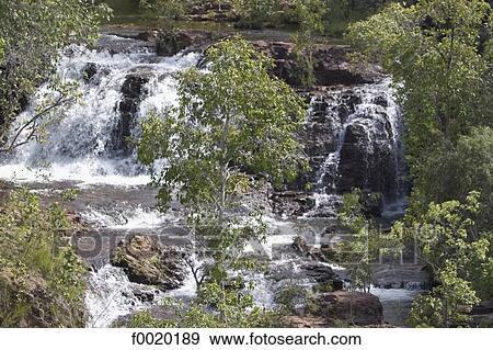 Stock Photo - Australie, Northern Territory, Litchfield National Park, cascades. Fotosearch