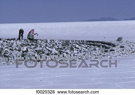Bolivia, Salar de Uyuni, cutting pieces of salt View Large Photo Image Stock Photo - Bolivia, Salar de Uyuni, cutting pieces of salt. Fotosearch