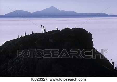 Bolivia, Salar de Uyuni, Pescado island View Large Photo Image Stock Photo - Bolivia, Salar de Uyuni, Pescado island. Fotosearch