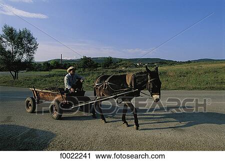 Bulgaria, donkey cart View Large Photo Image Stock Image - Bulgaria, donkey cart. Fotosearch