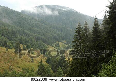 Stock Photograph - Bulgaria, Rhodope Mountains Region. Fotosearch