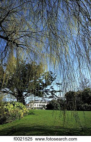 Stock Photography - Channel Islands, Jersey, house and garden. Fotosearch