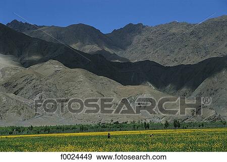 China, Tibet, Yarlung Valley View Large Photo Image Stock Photo - China, Tibet, Yarlung Valley. Fotosearch