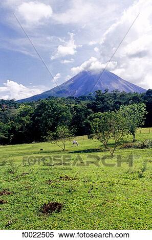 Costa Rica, Arenal Volcano National Park, volcano View Large Photo Image Stock Photography - Costa Rica, Arenal Volcano National Park, volcano. Fotosearch