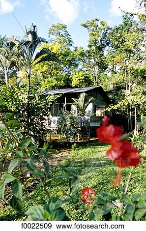 Costa Rica, Caribbean coast, traditional dwelling View Large Photo Image Stock Photo - Costa Rica, Caribbean coast, traditional dwelling. Fotosearch