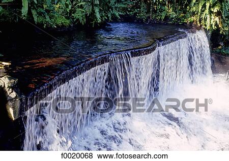 Costa Rica, Tabacon, hot springs in the Arenal Volcano Park View Large Photo Image Stock Photo - Costa Rica, Tabacon, hot springs in the Arenal Volcano Park. Fotosearch