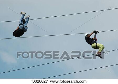 Costa Rica, Valle Escandino, cables above the rain forest View Large Photo Image Stock Photo - Costa Rica, Valle Escandino, cables above the rain forest. Fotosearch