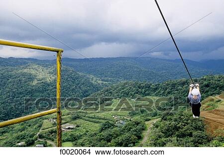 Picture - Costa Rica, Valle Escandino, "canopy ride" above the rain forest. Fotosearch