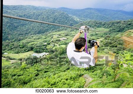 Costa Rica, Valle Escandino, "canopy ride" above the rain forest View Large Photo Image Stock Image - Costa Rica, Valle Escandino, "canopy ride" above the rain forest. Fotosearch