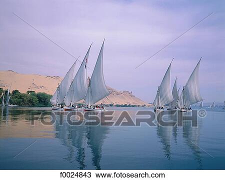 Egypt, Aswan, feluccas on the Nile View Large Photo Image Stock Image - Egypt, Aswan, feluccas on the Nile. Fotosearch