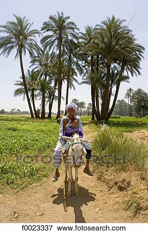 Egypt, between Qina and Luxor, man and child on a mule View Large Photo Image Stock Photo - Egypt, between Qina and Luxor, man and child on a mule. Fotosearch