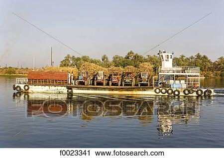 Egypt, between Qina and Luxor, transport of tractors on the Nile View Large Photo Image Stock Image - Egypt, between Qina and Luxor, transport of tractors on the Nile. Fotosearch