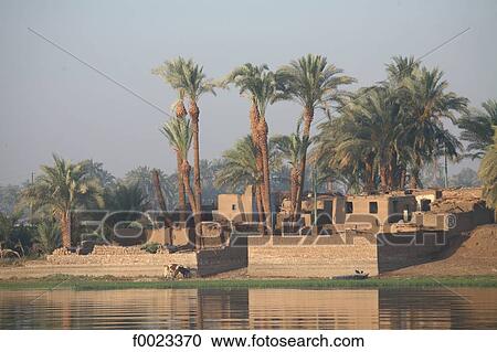 Egypt, between Qina and Luxor, village along the Nile View Large Photo Image Stock Image - Egypt, between Qina and Luxor, village along the Nile. Fotosearch
