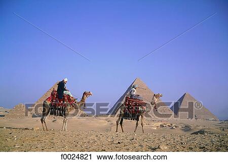 Egypt, Cairo, Gizeh, camel riders at the foot of the pyramids View Large Photo Image Stock Image - Egypt, Cairo, Gizeh, camel riders at the foot of the pyramids. Fotosearch