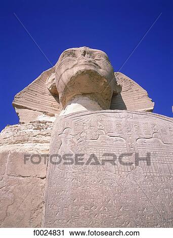 Egypt, Cairo, Gizeh, Sphinx View Large Photo Image Stock Image - Egypt, Cairo, Gizeh, Sphinx. Fotosearch