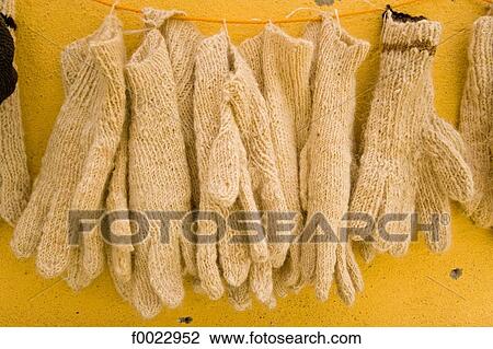Egypt, Libyan desert, Bahariya Oasis, gloves View Large Photo Image Stock Image - Egypt, Libyan desert, Bahariya Oasis, gloves. Fotosearch